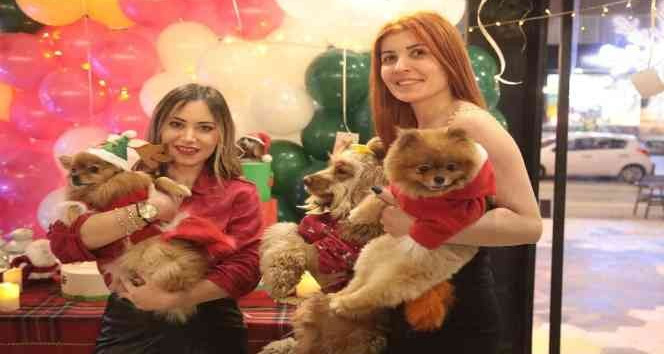 Sevimli dostlar 2022’yi rengarenk karşıladı