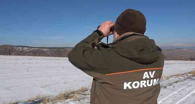 Bozkırın yaban hayatı korunuyor