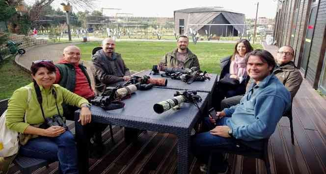 Hersek Lagünü kuş fotoğrafçılarından yoğun ilgi görüyor