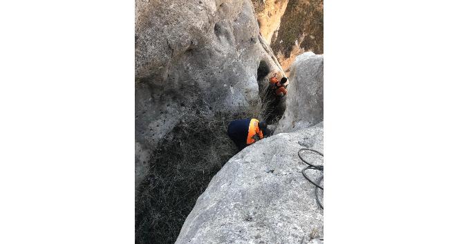 Siirt’te kayalıklarda mahsur kalan keçiler AFAD tarafından kurtarıldı
