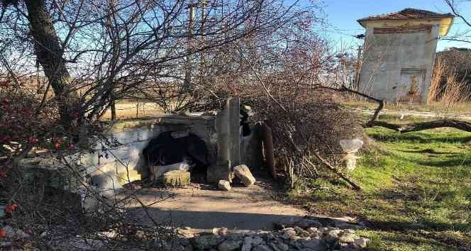 Kırklareli’nde evsiz yaşlı adam bakım merkezine yerleştirildi