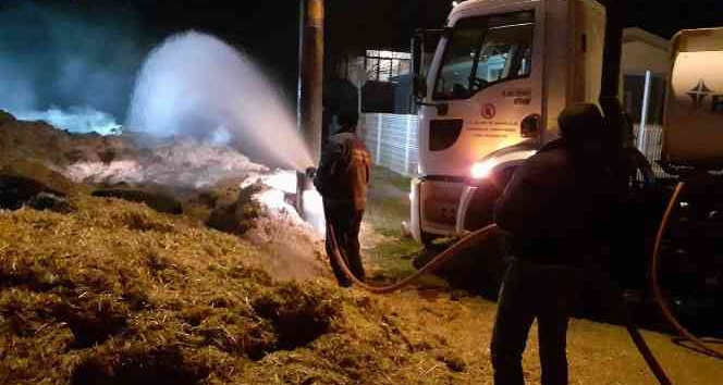 Kırklareli’nde çıkan yangında çok sayıda saman kül oldu
