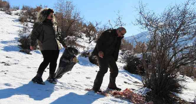 Şırnak’ta yaban hayvanları için yem bırakıldı