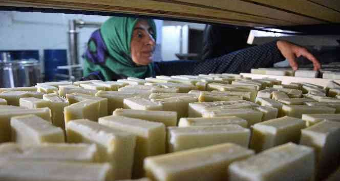 Eşek sütü sabunlar ilgi görüyor