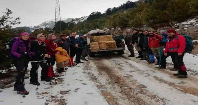 Osmaniye’de yaban hayvanlarına yem desteği