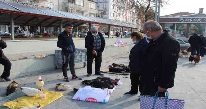 Hindi fiyatları 500 lira olunca vatandaş sorup geçiyor