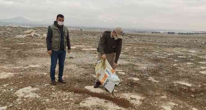 Karaman’da sokak hayvanlarına yem bırakıldı