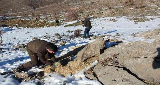 Yaban hayvanları için doğaya yem servisi yapıldı