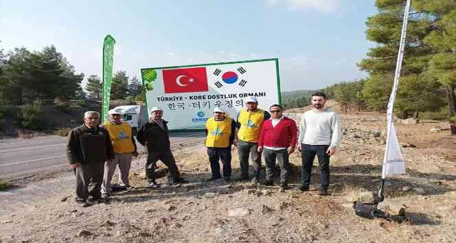 Kilis’te Türkiye-Kore Dostluk Ormanı’nda 20 bin fidan toprakla buluştu