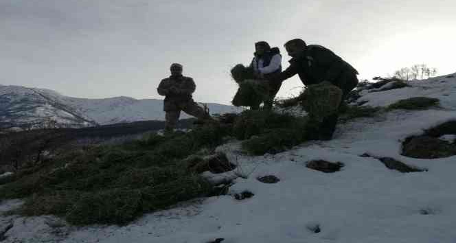 Tunceli’de  yaban hayvanları için doğaya yem bırakıldı