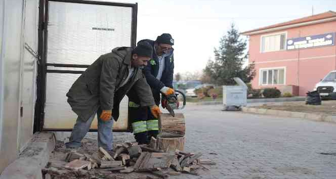 Budanan ağaçlar ihtiyaç sahiplerine yakacak oluyor