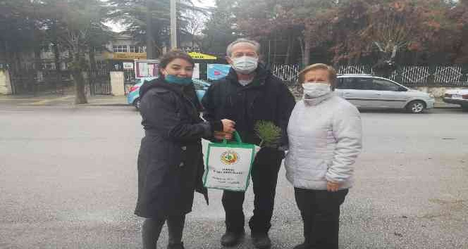Çam ağacı kesimini önlemek için bin adet fidan dağıtıldı