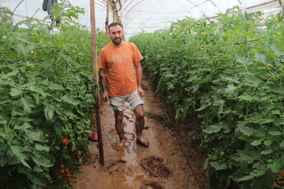 Kumluca&#039;da sel yaklaşık 2 bin dönüm seraya zarar verdi