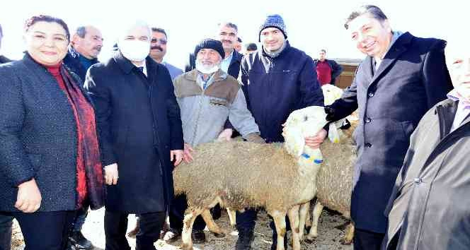 Kırşehir’de çiftçilere hayvan desteği
