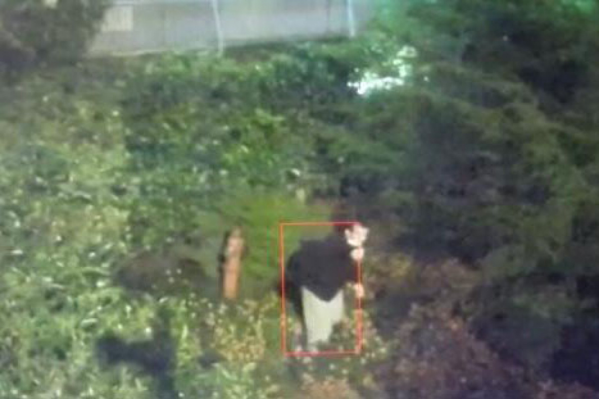 Ünlü şarkıcı Aleyna Tilki'nin evine girmeye çalışan saplantılı hayran kamerada