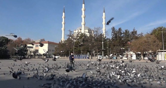 Kırıkkale’de kısıtlama mağduru güvercinleri gazeteci besledi