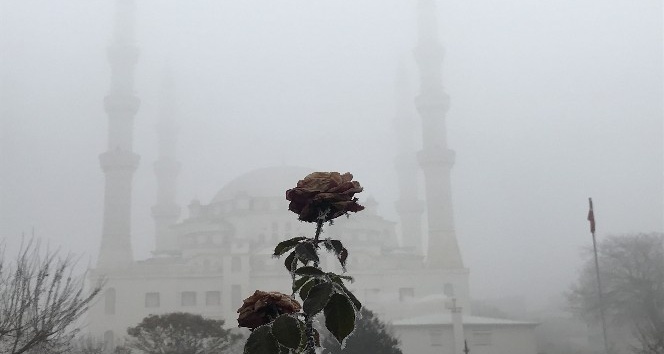 Yoğun sis kartpostallık görüntüler oluşturdu