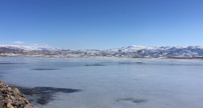 Bingöl Karlıova’da gölet buz tuttu