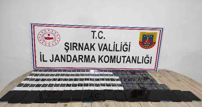 Şırnak’ta kaçakçılık operasyonu: 49 gözaltı
