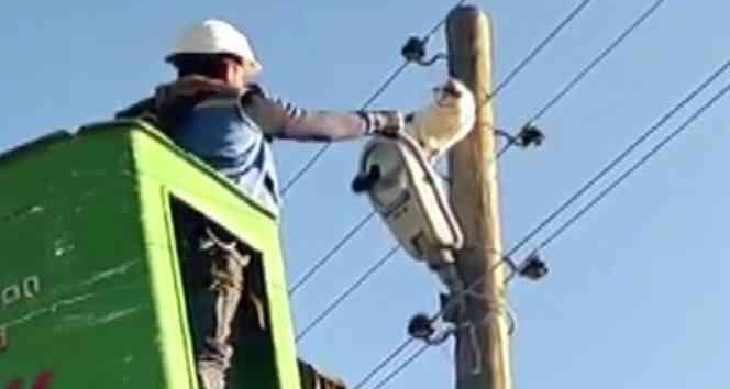 Bingöl’de 9 metrelik elektrik direğinde mahsur kalan kedi kurtarıldı