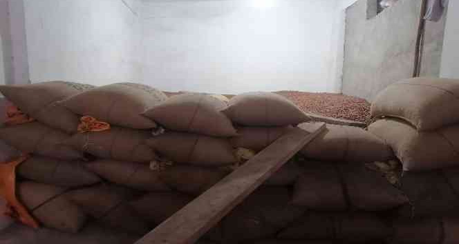 Fındık fiyatı yeni yıla artışla başladı