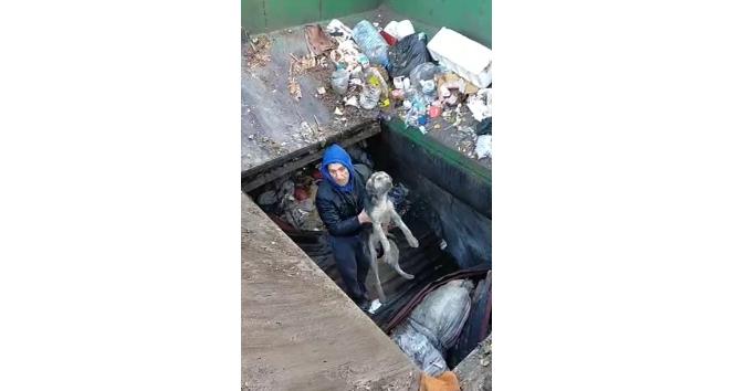 Çöp ayrıştırma makinesine düşen köpek kurtarıldı