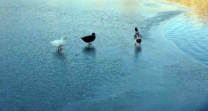 Yozgat’ta donan gölet kartpostallık görüntüler oluşturdu