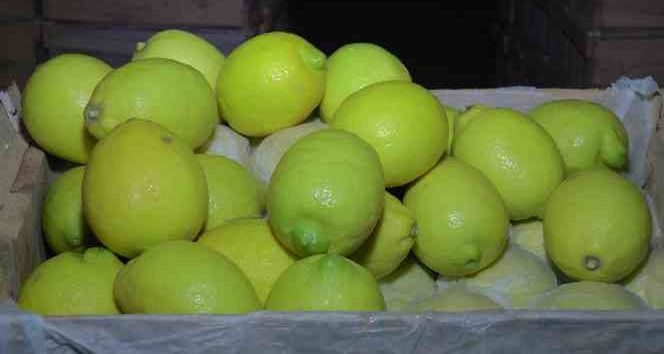 Kapadokya, Akdeniz bölgesinde yetiştirilen limona ’yataklık’ ediyor