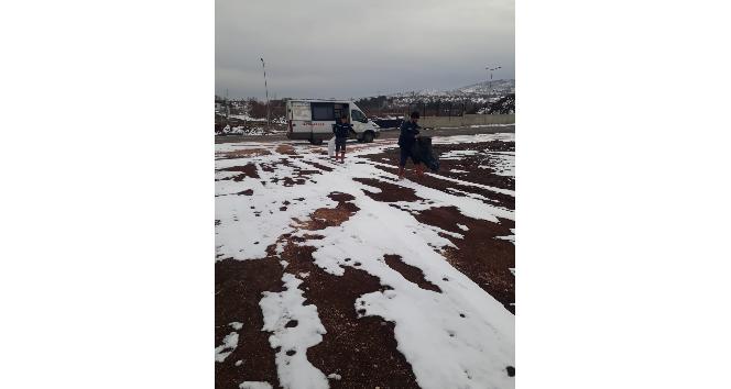 Bingöl Belediyesi  sokak hayvanlarını unutmadı