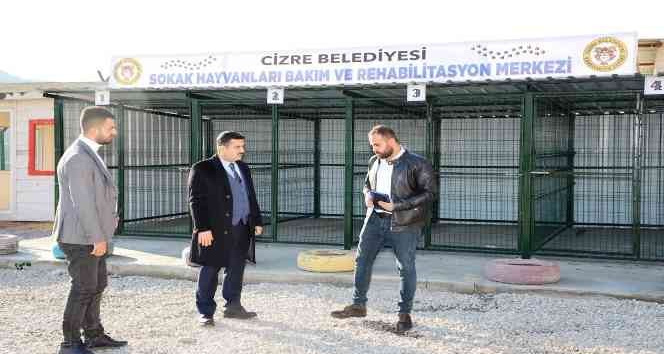 Cizre Belediyesinden sahipsiz hayvanlar için geçici bakımevi