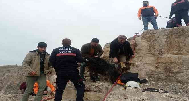 Siirt’te kayalıklarda 14 gündür mahsur kalan keçi kurtarıldı