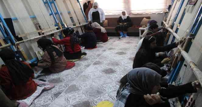 Ayşe nine gençlik hayaline 75’inde başında başladı