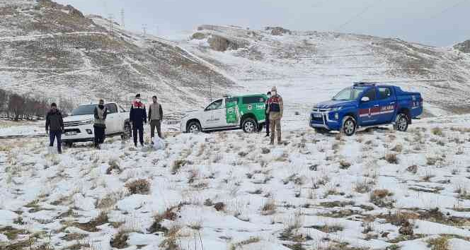 Bitlis’te sokak ve yaban hayvanlar için doğaya yem bırakıldı