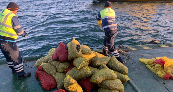 Bayrampaşa Halinde 5 ton kaçak midye ele geçirildi: Canlı midyeler denize bırakıldı