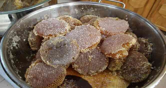 Mardin’de kış hastalıklarının şifa kaynağı Uludere çam balı ve keçiboynuzu