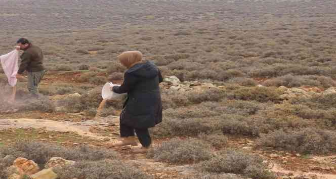 Yaban hayvanları için doğaya yem bıraktılar
