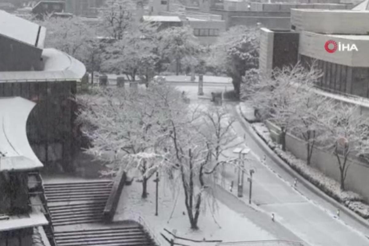 Japonya'da yoğun kar yağışı: 99 uçuş iptal edildi
