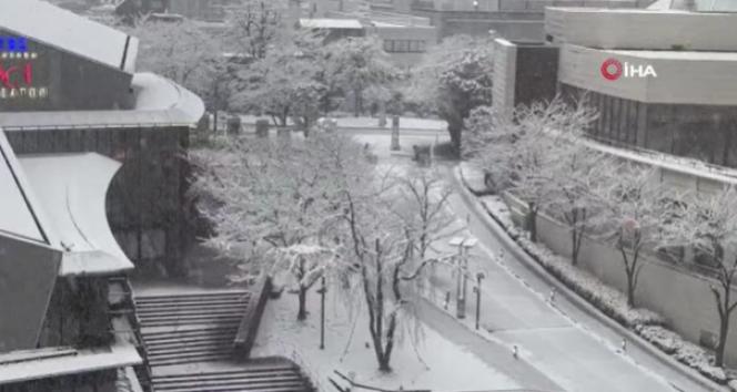 Japonyada yoğun kar yağışı: 99 uçuş iptal edildi