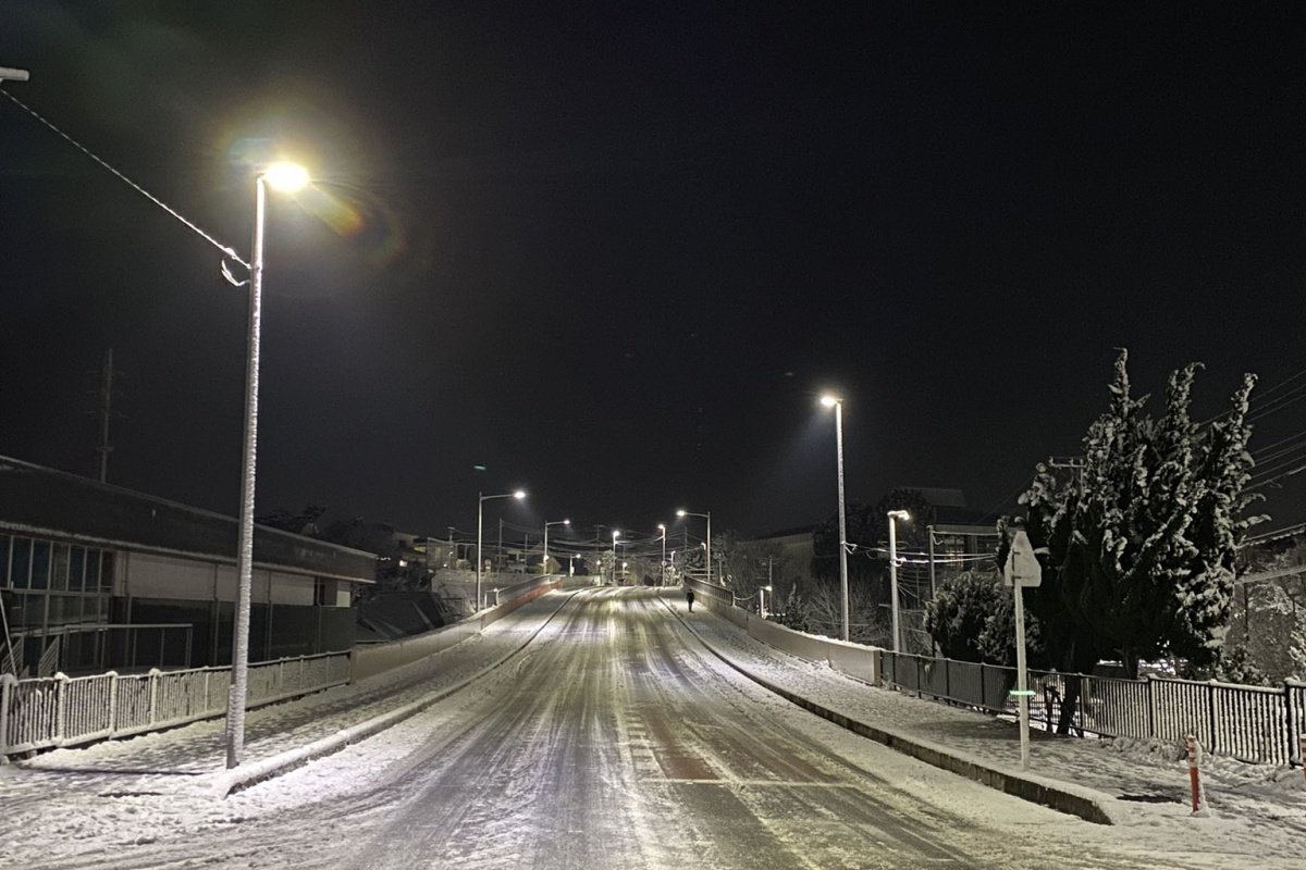 Japonya'da şiddetli kar ve buzlanma nedeniyle 215 kişi hastanelik oldu