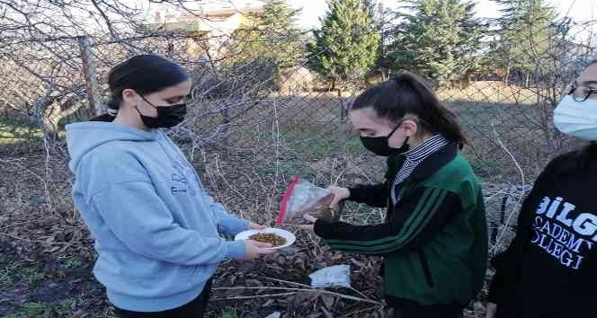 Öğrenciler sokak hayvanlarını unutmadı