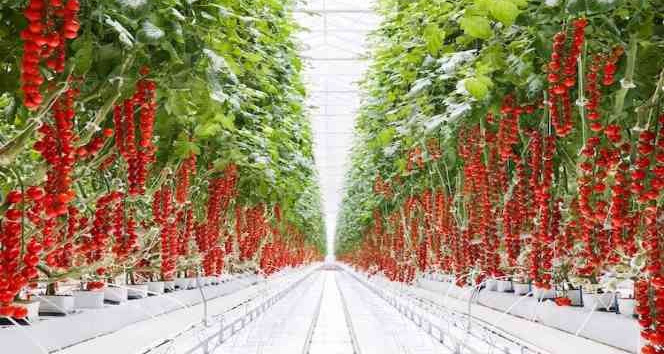 Kozaklı OSB başvurusu kabul edildi