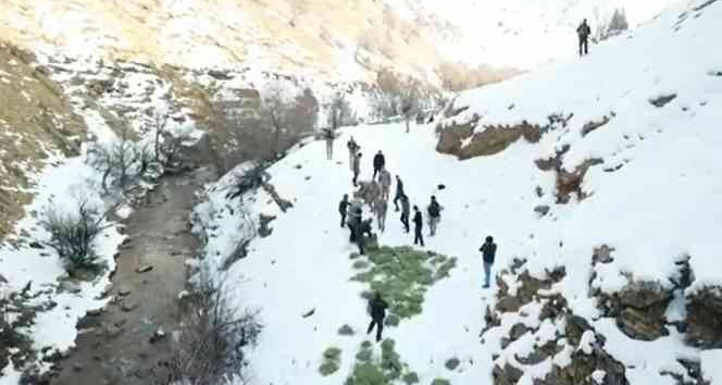 Tunceli’de doğaya yem bırakıldı, dağ keçileri akın etti