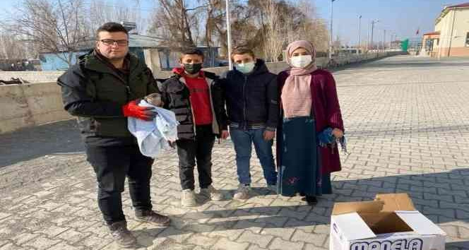 Yaralı halde bulunan atmaca tedavi altına alındı