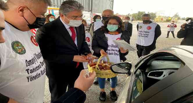 Fıstık gibi tanıtım