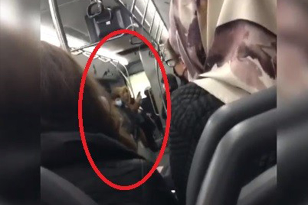 Belediye otobüsünde maskesiz kadın terörü