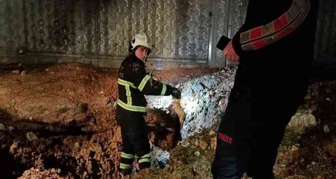 Siirt’te çukura düşen köpek ve 13 yavrusu kurtarıldı