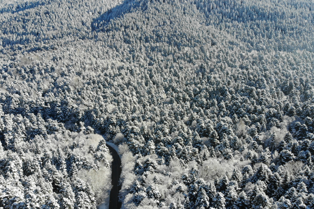 Bolu'nun karla kaplı ormanları havadan görüntülendi