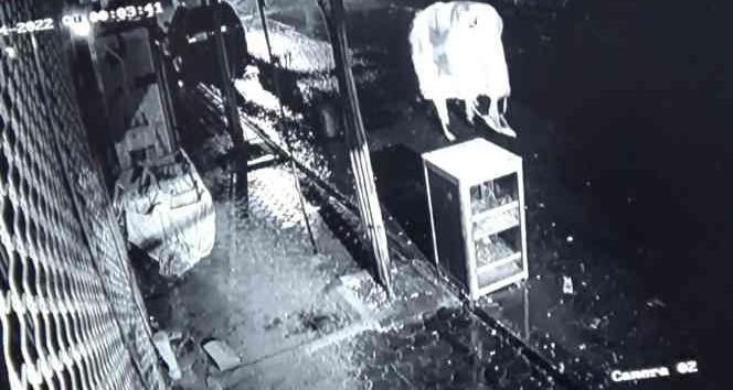 Kilis’te 2 kişi başına çuval geçirerek ekmek sandığını çaldı