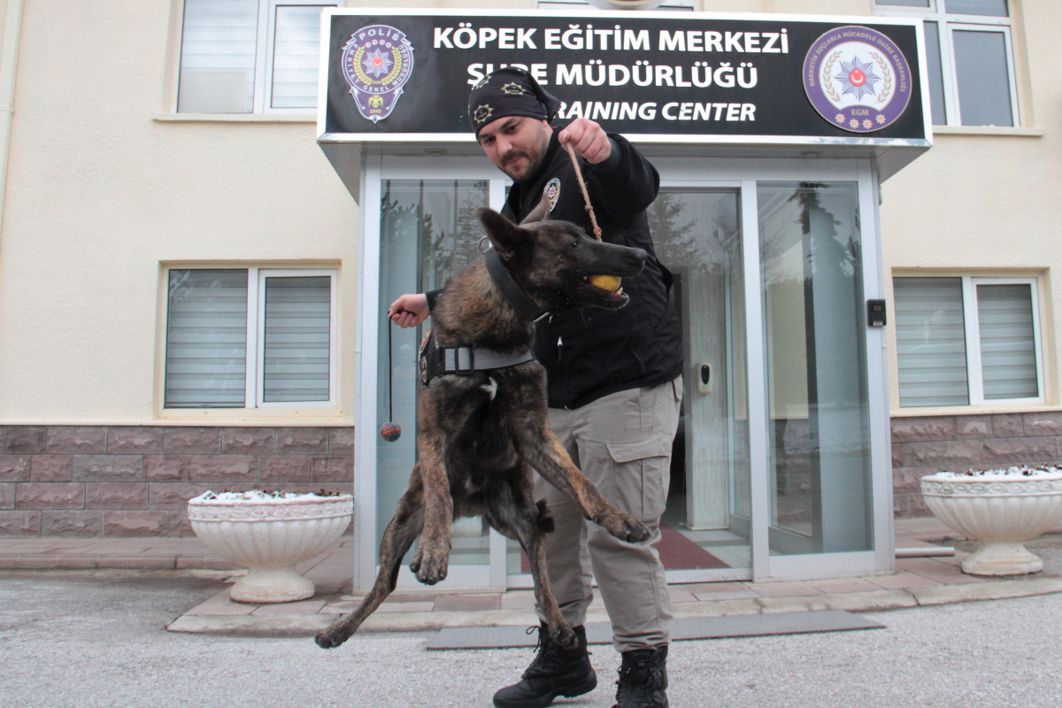 Operasyonların gizli kahramanı 'dedektör köpekler' böyle eğitiliyor