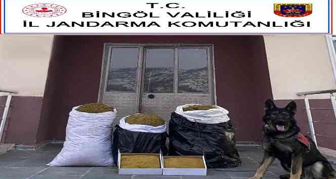 ’Yaba’ kokladı, Bingöl’de 75 kilo kıyılmış tütün ele geçirildi